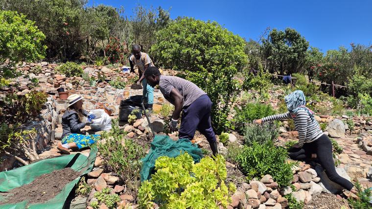 A team preparing soil and planting on a terraced slope