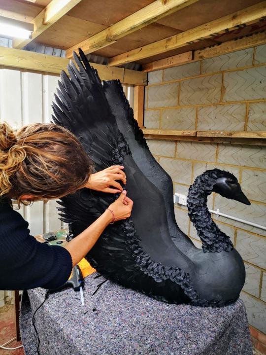 Hands laying black feathers on the swan